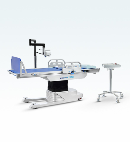 VT300